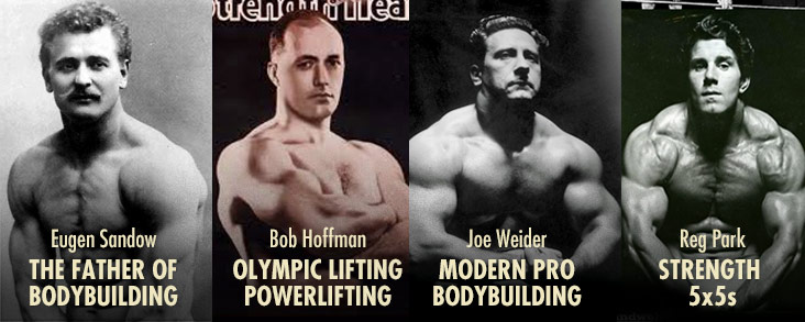 Bulking Diet Plan For Ectomorphs And Powerlifting Weight