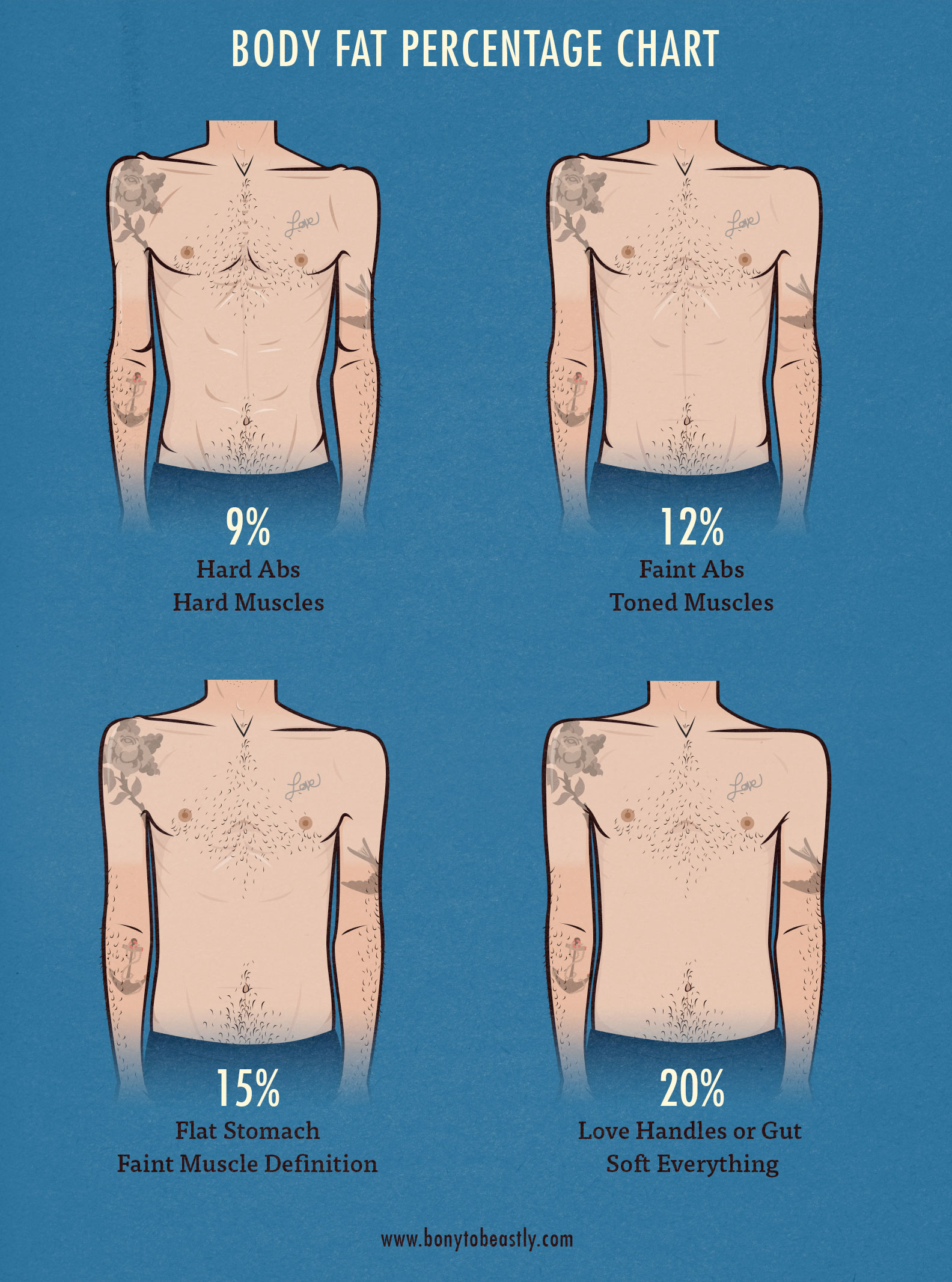 Body Fat Percentage Image Chart