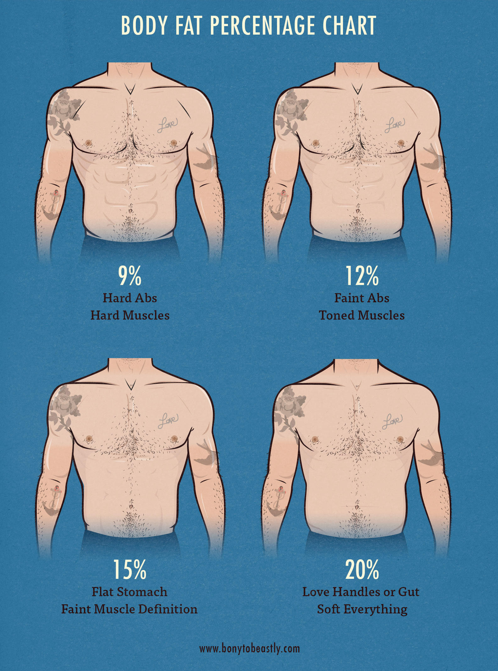 what is body fat percentage definition