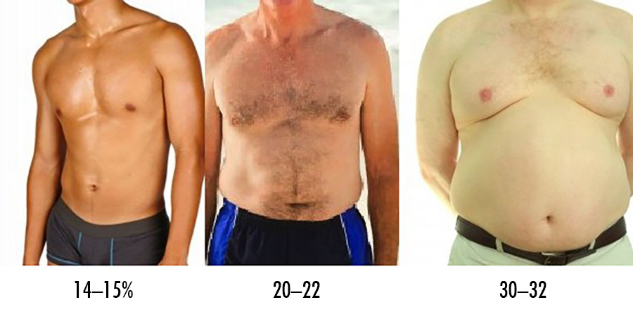 Bony To Beastly The Ectomorph s Guide To Body Fat Percentage