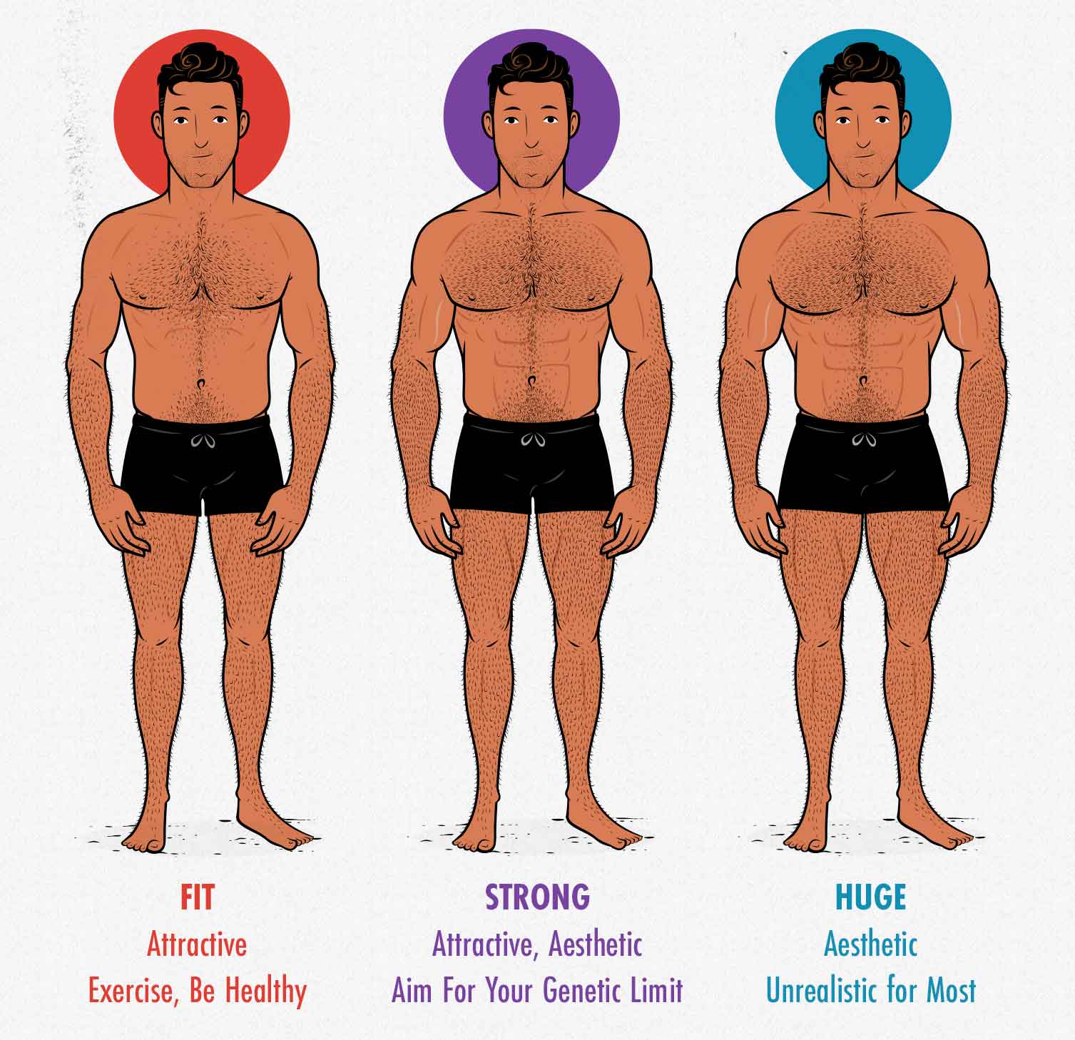 Diagram showing the differences between the most attractive and the most aesthetic male bodies.