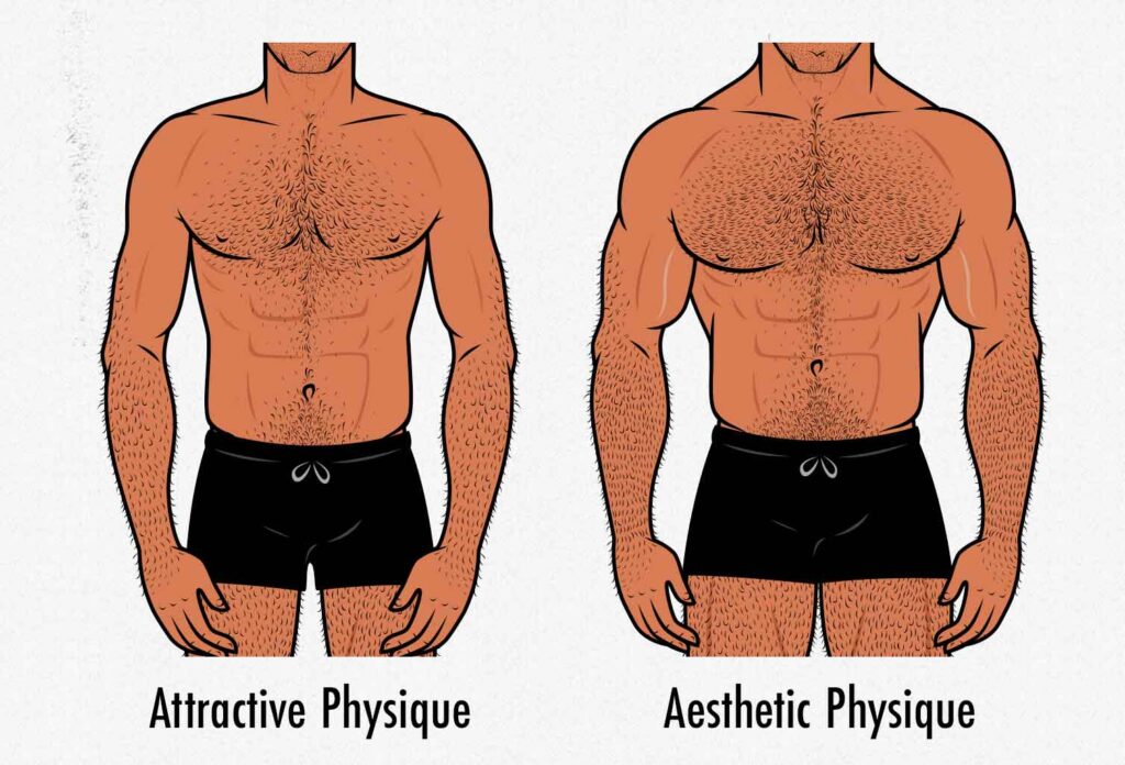 The Skinny Guy's Guide to Aesthetics: How to Build An Attractive Physique