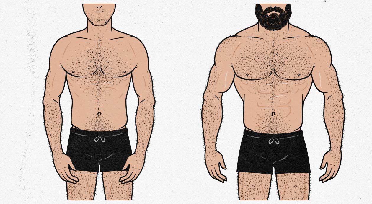 Most Attractive Male Proportions Ideal Aesthetics Measurements 