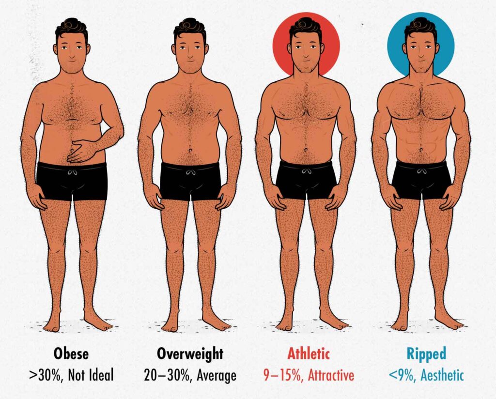 optimal body fat percentages