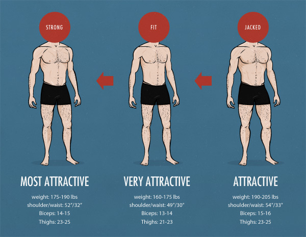 ideal male body shape calculator