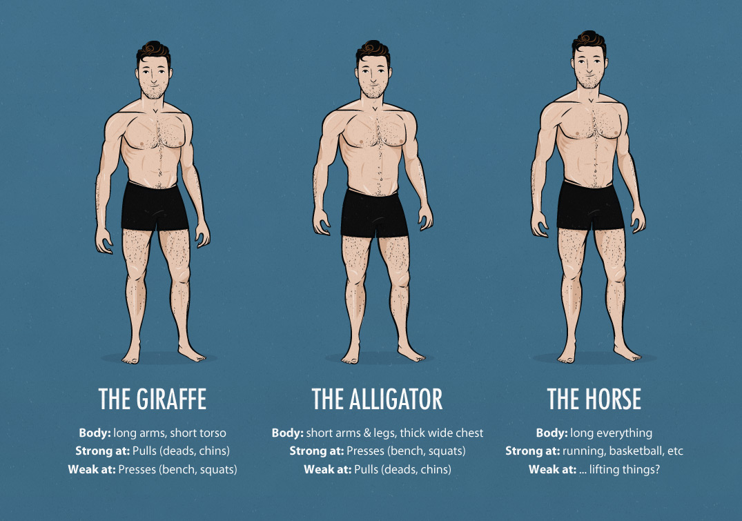 ectomorph-weightlifting-body-types-bony-to-beastly