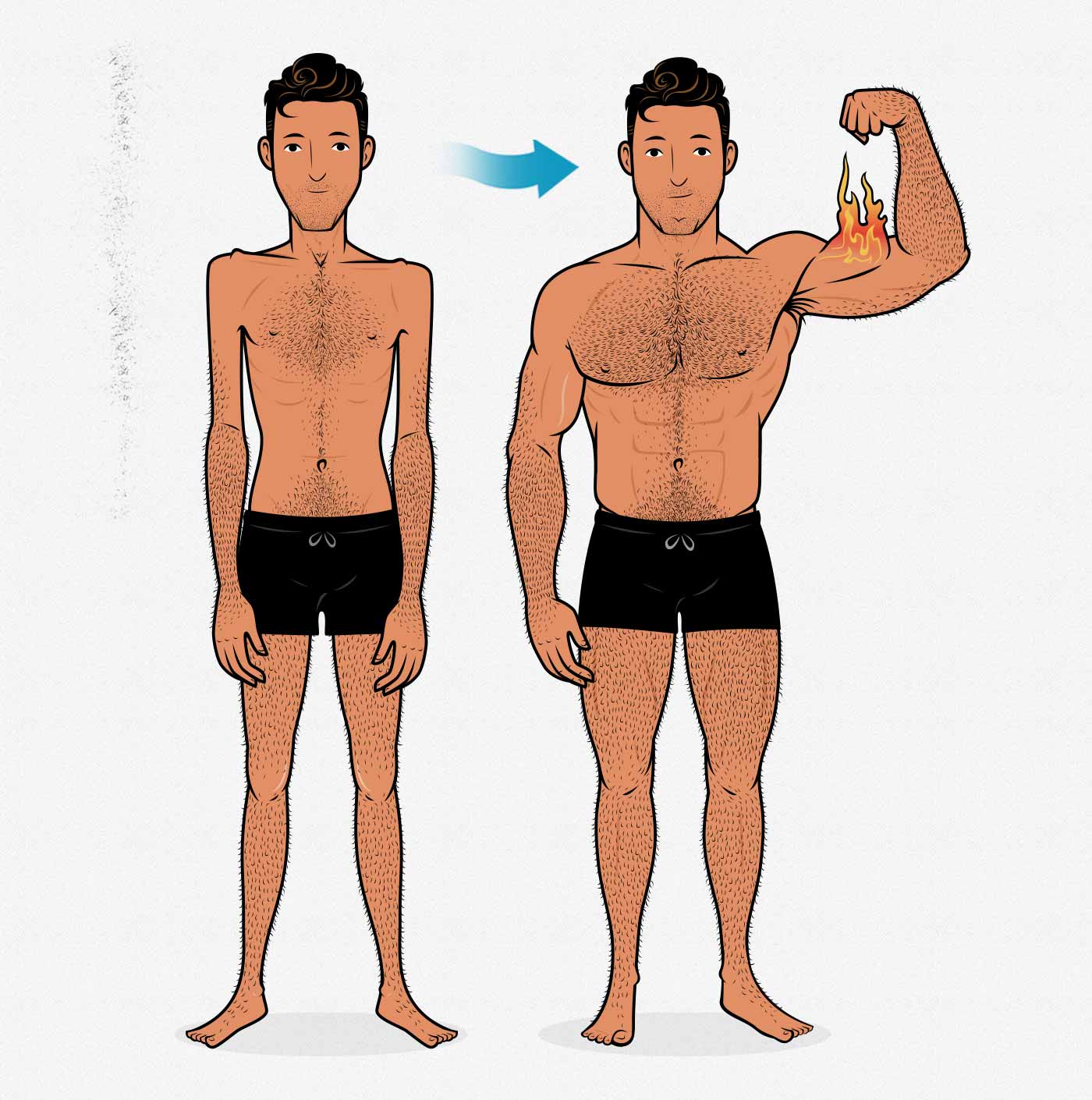 Workout routine outlet for ectomorph male