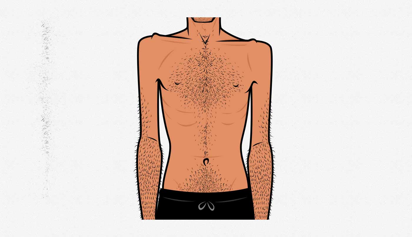 The Male Body Types: Ectomorph, Endomorph, Mesomorph