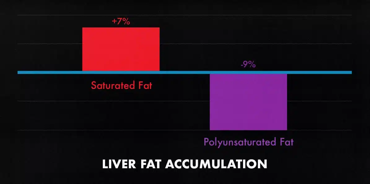 Study graph showing fat loss when eating more polyunsaturated fat.