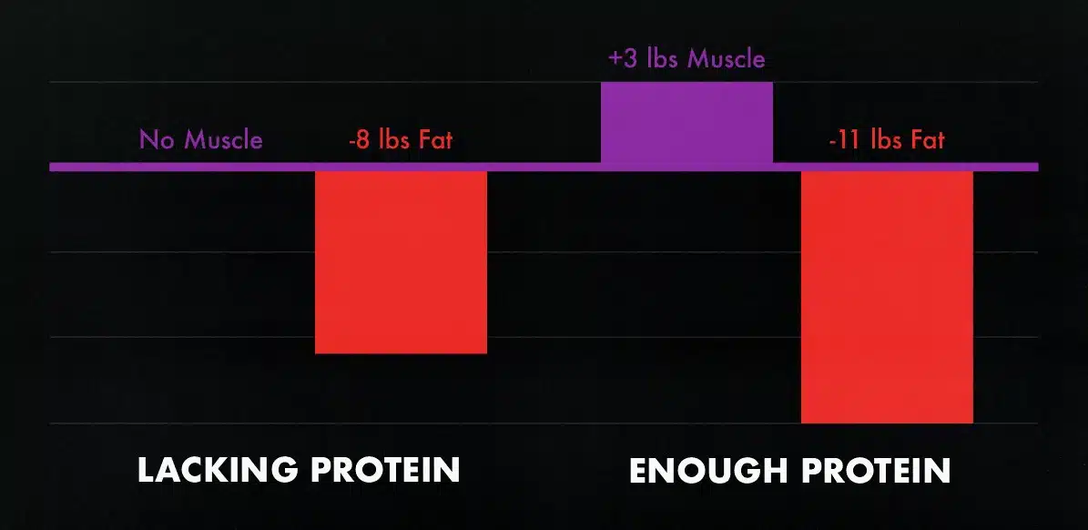 Study graph showing that a diet rich in protein helps skinny fat guys burn fat while building muscle.