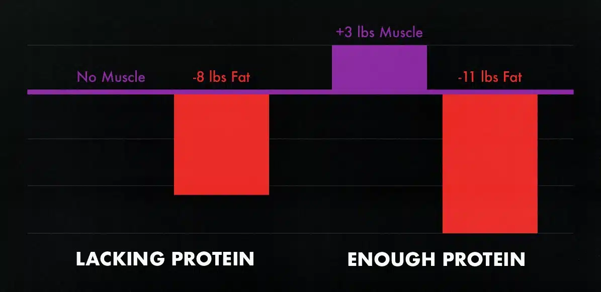 How Age Affects Muscle Growth