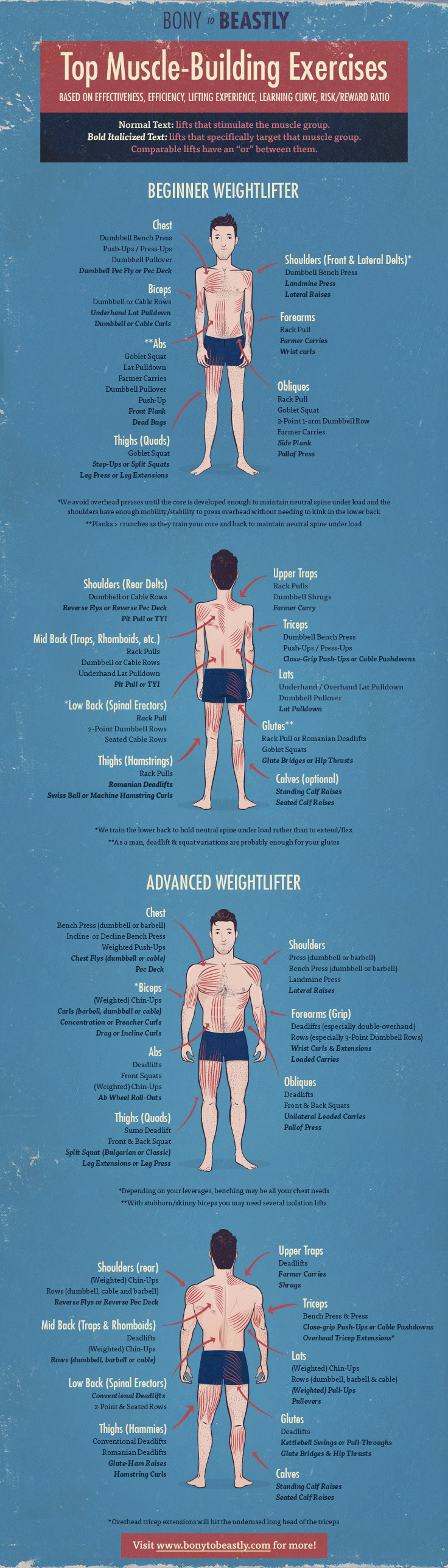 Dumbbell workouts for outlet all muscle groups