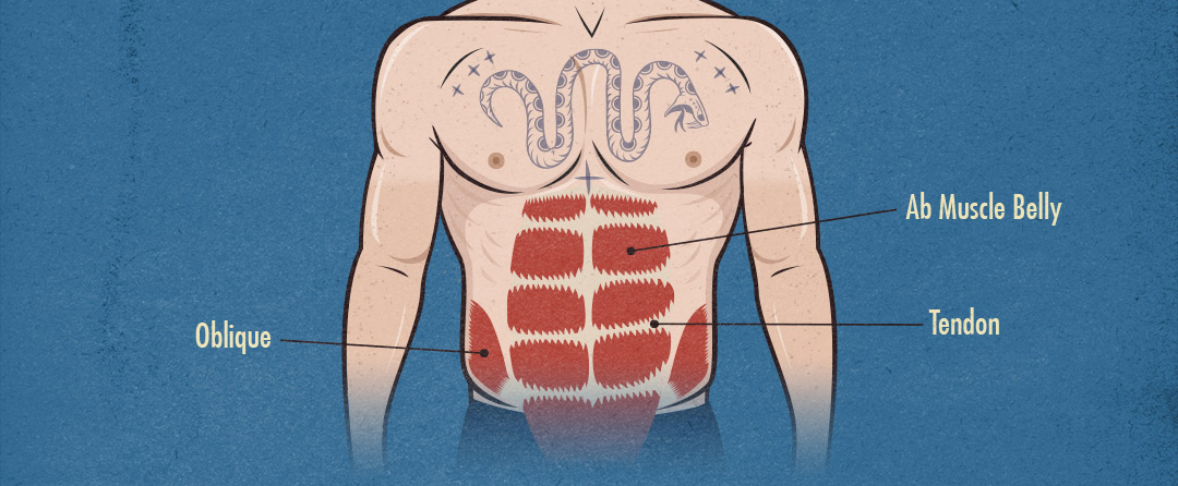 Ectomorph Ab Anatomy (How to Build Bigger Abs as a Skinny Guy)