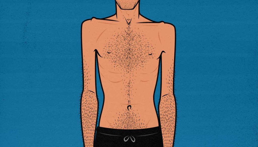 Illustration of a skinny hardgainer with an ectomorph body type.