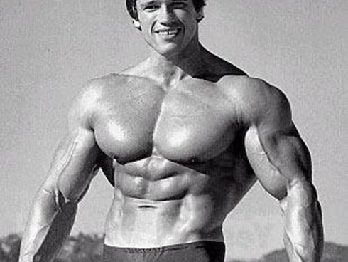 Arnold schwarzenegger lower abs — Bony to Beastly