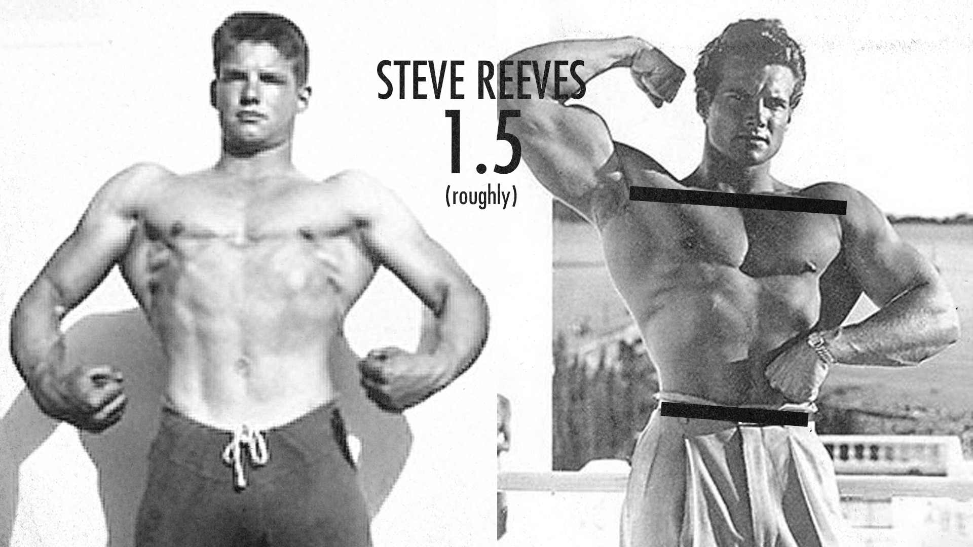 Muscle-Building Genetics, Bone Structure V-Taper, Steve Reeves