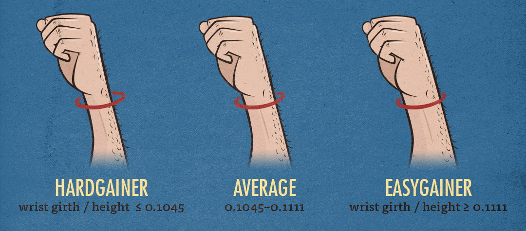 how to increase wrist size by exercise