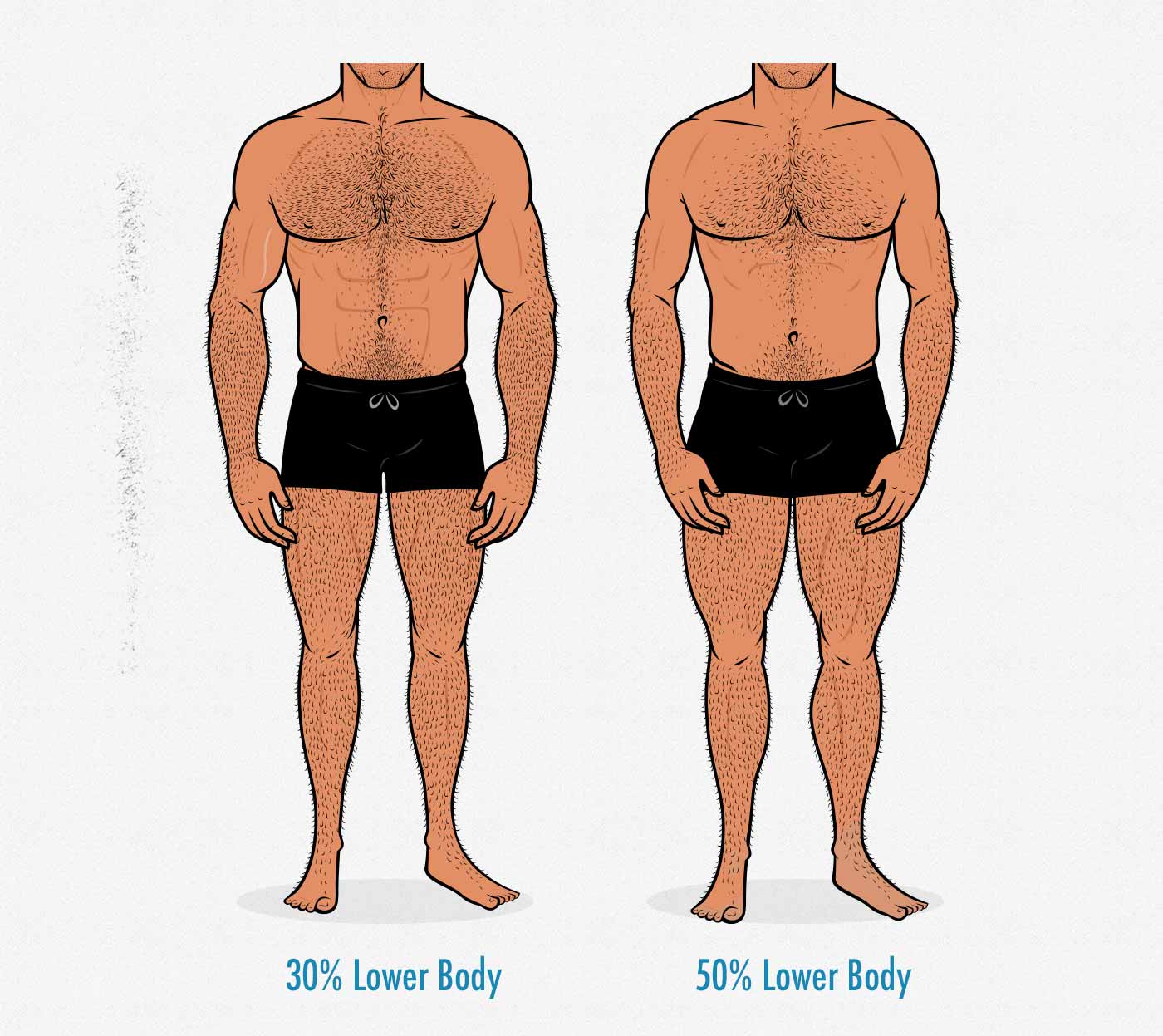 Illustration of two men with different upper and lower body proportions