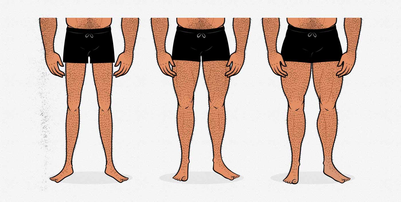 Illustration of men with different leg muscle sizes.