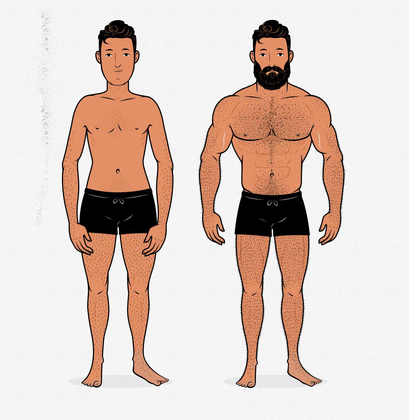 What are your thoughts on a man who's upper body is longer than his lower  body? - GirlsAskGuys