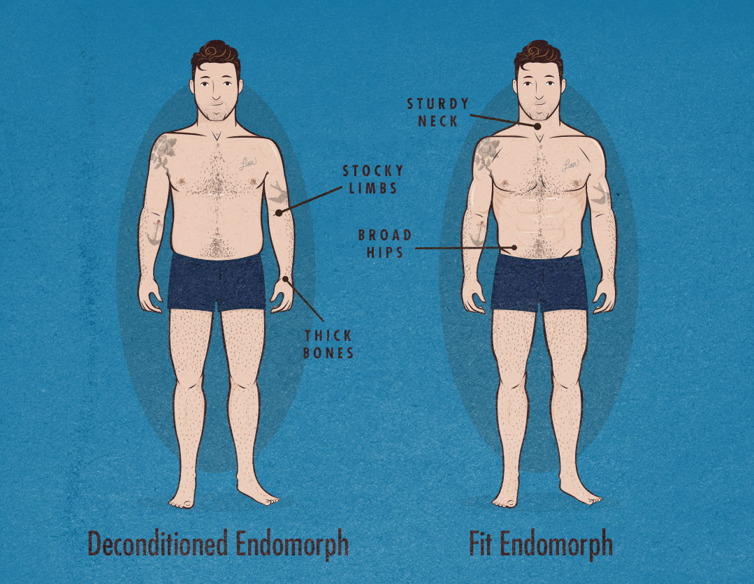 The Male Body Types: Ectomorph, Endomorph, Mesomorph