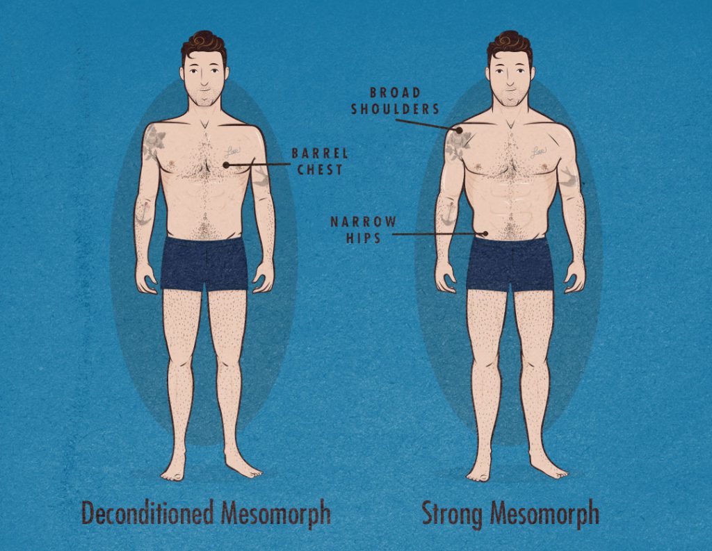 mesomorph-body-type-somatotype-bony-to-beastly