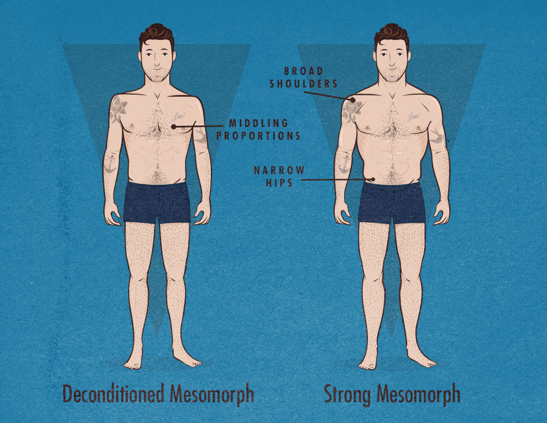 What are some different body types?