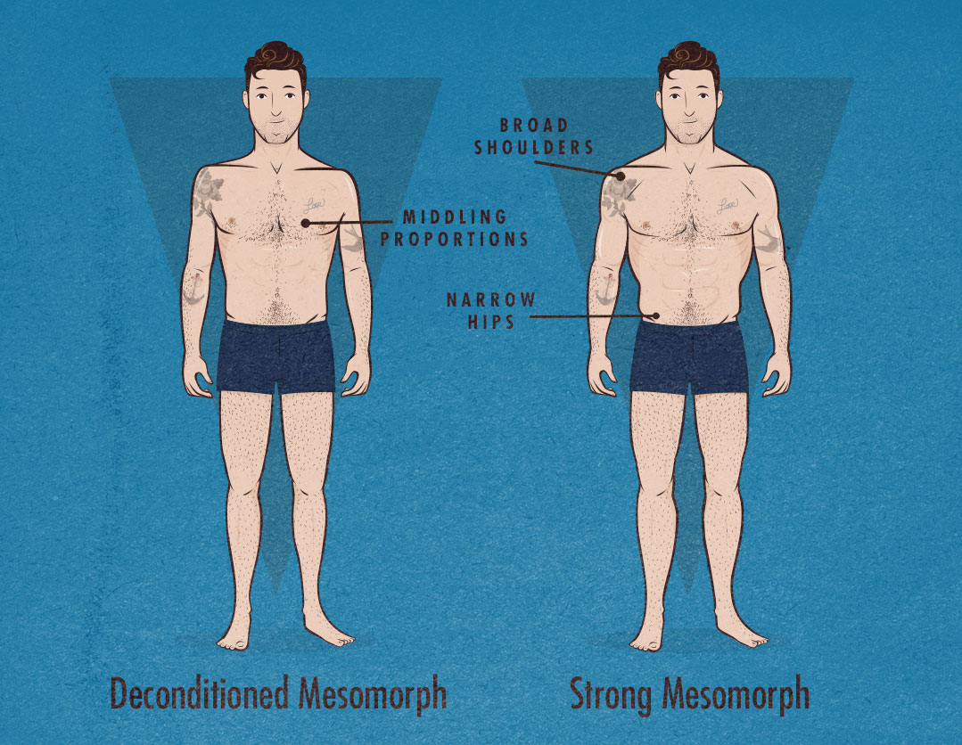 Which somatotype is characterised by broad shoulders, narrow waist