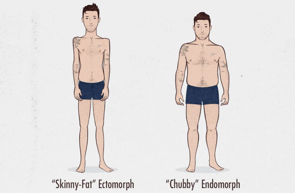 The Male Body Types Ectomorph, Endomorph, Mesomorph