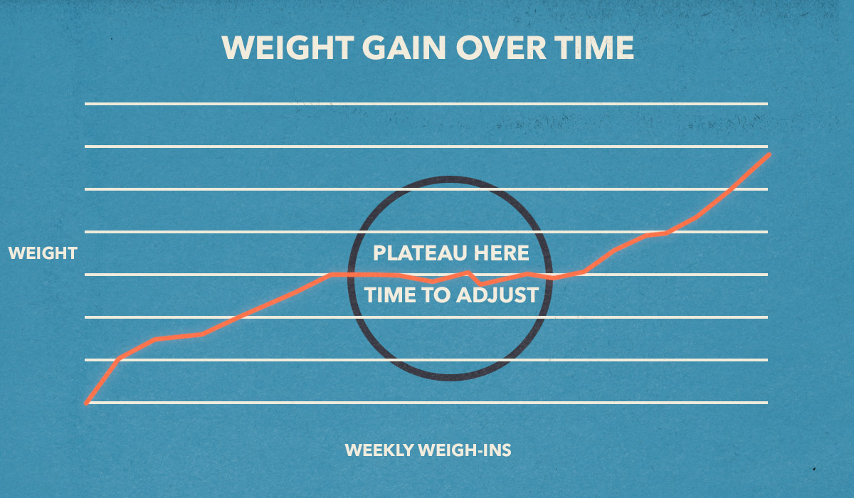 weight-gain-tracking-tools-how-to-plateau