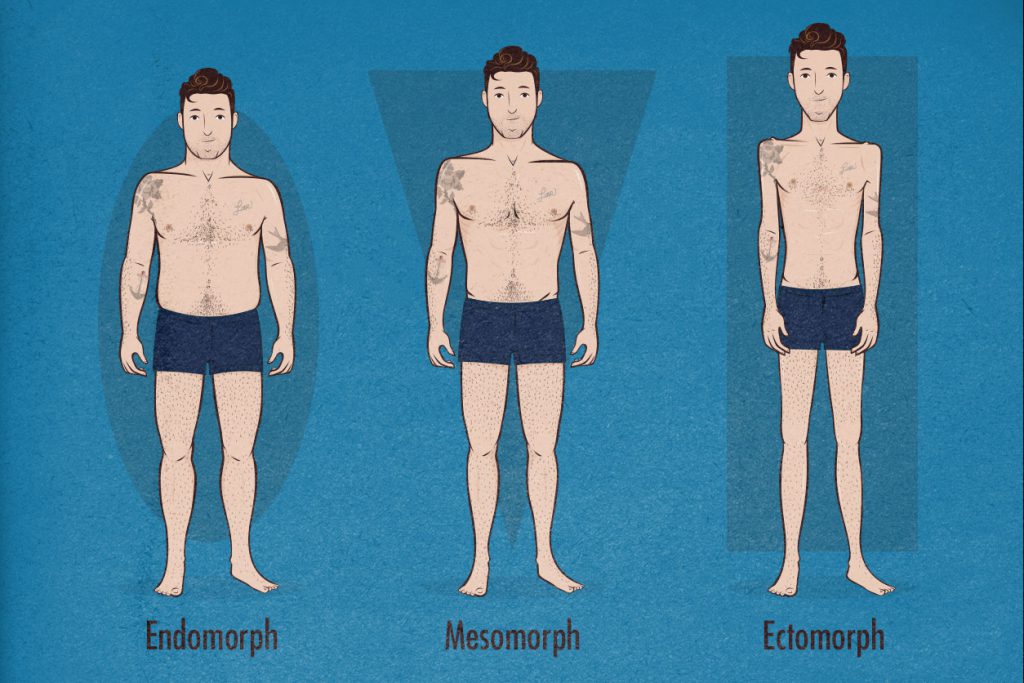 The Male Body Types: Ectomorph, Endomorph, Mesomorph