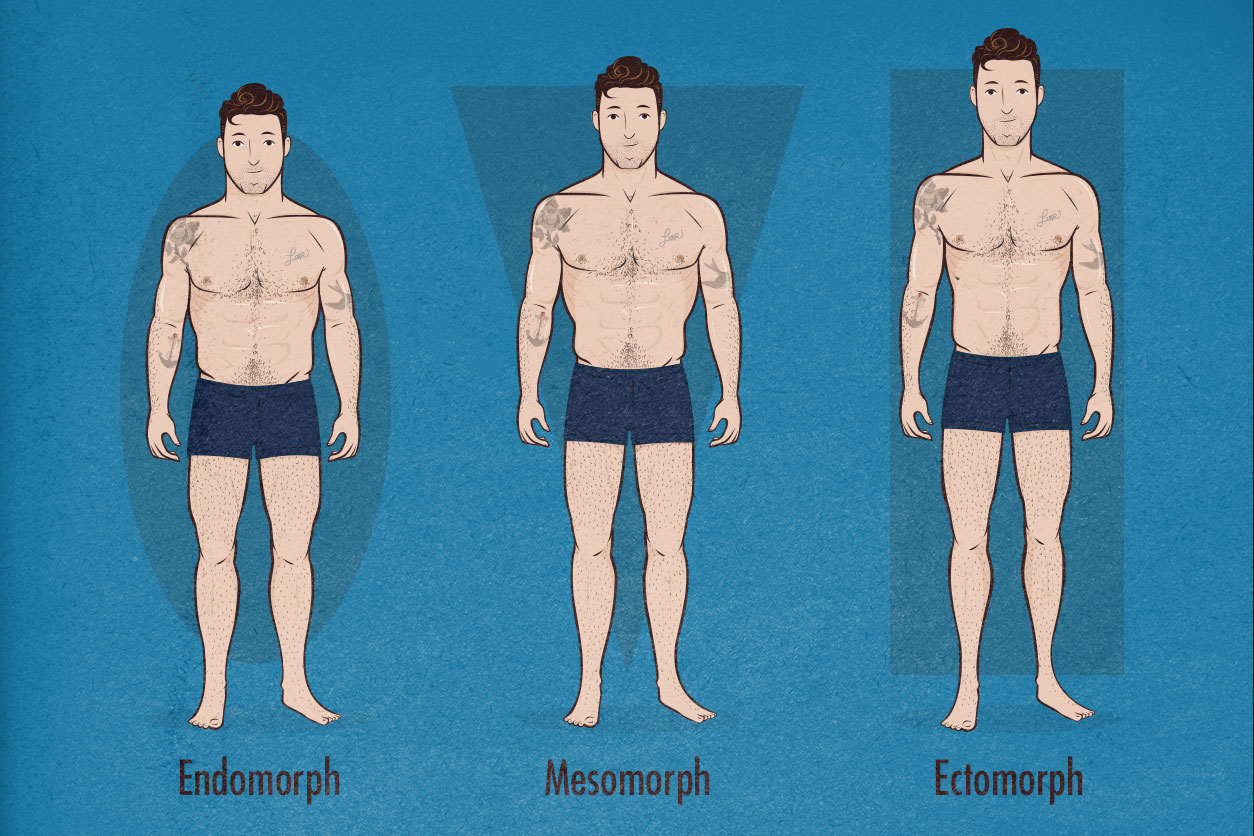 The Male Body Types Ectomorph Endomorph Mesomorph