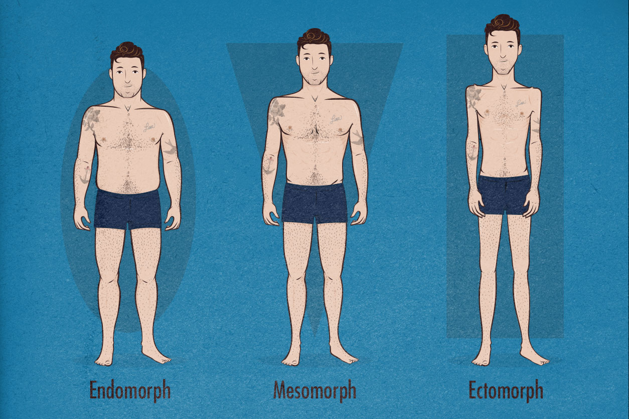 How to Tell If You're an Ectomorph, Mesomorph or Endomorph Body Type (Somatotypes)