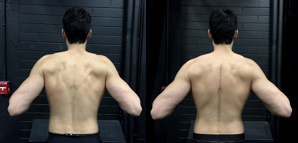 Back muscles for online posture