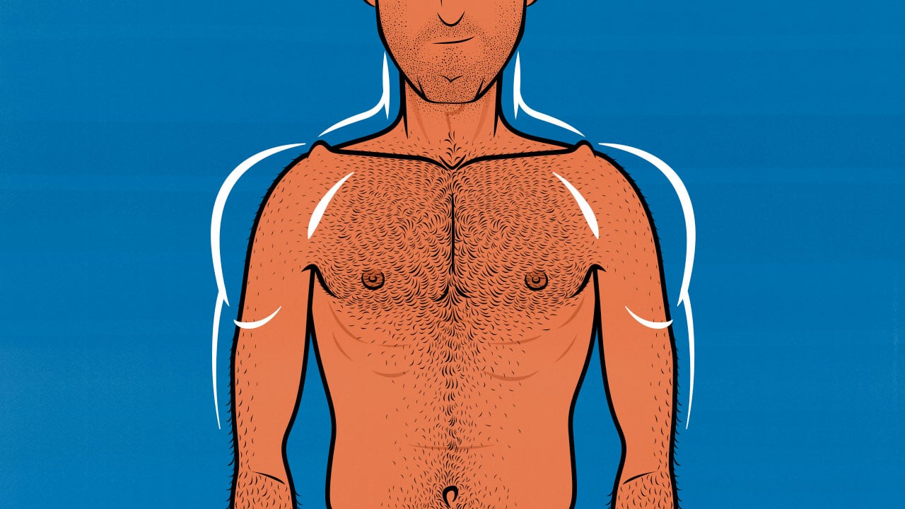 Shoulder, back, chest muscles Diagram