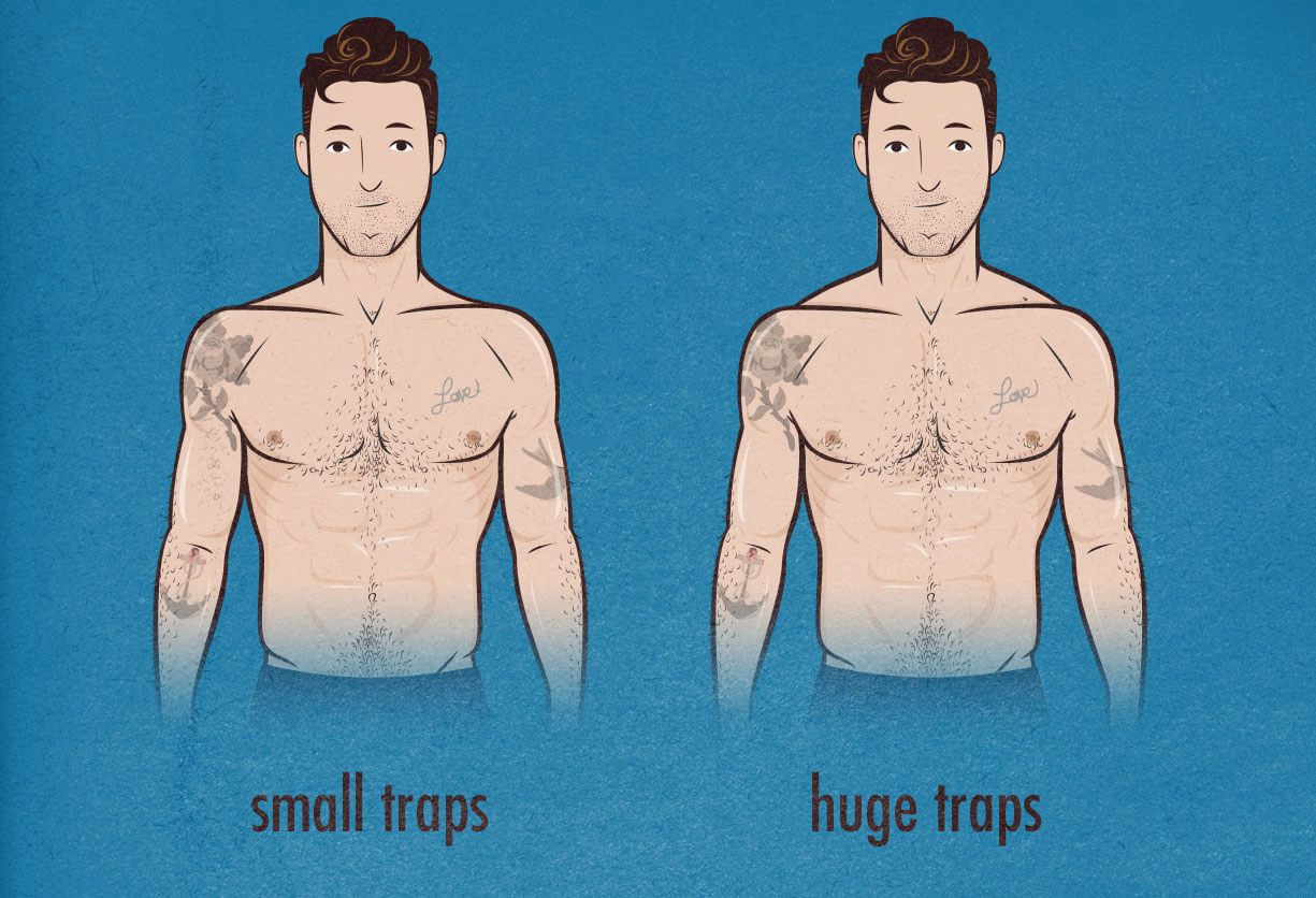 how-to-build-broader-shoulders-trap-trapezius-size-bony-to-beastly
