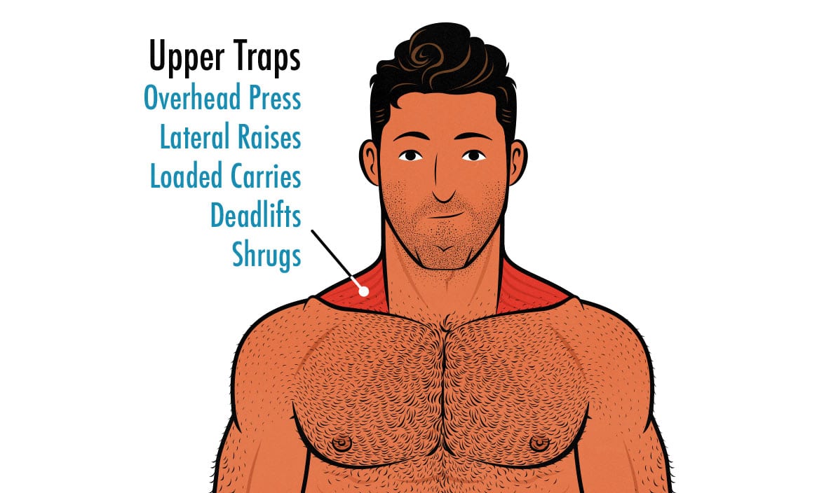 How to Build Broader Shoulders (for Skinny Guys)