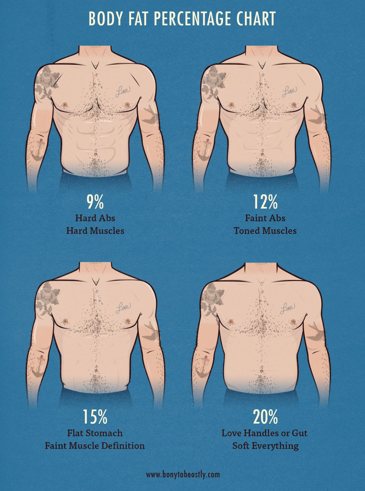 The Skinny Guy s Guide To Body Fat Percentage