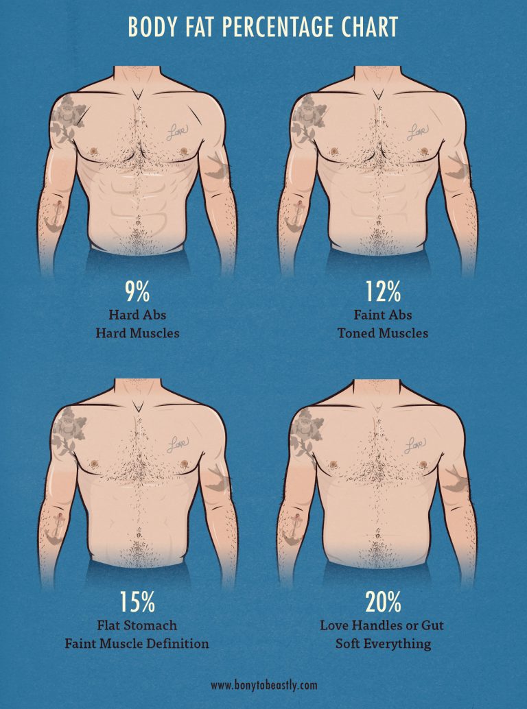 optimal body fat percentages
