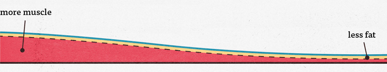 Illustration showing that eating a big meal after lifting weights can improve muscle growth.