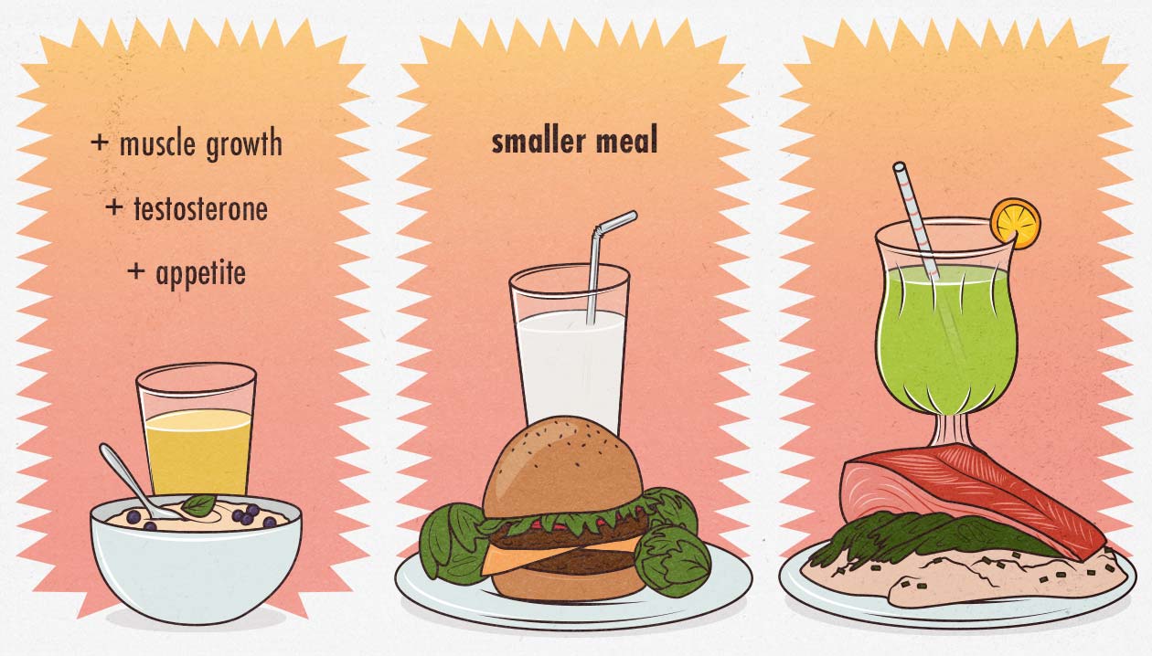 Graph showing the benefits of not using intermittent fasting for muscle gain.