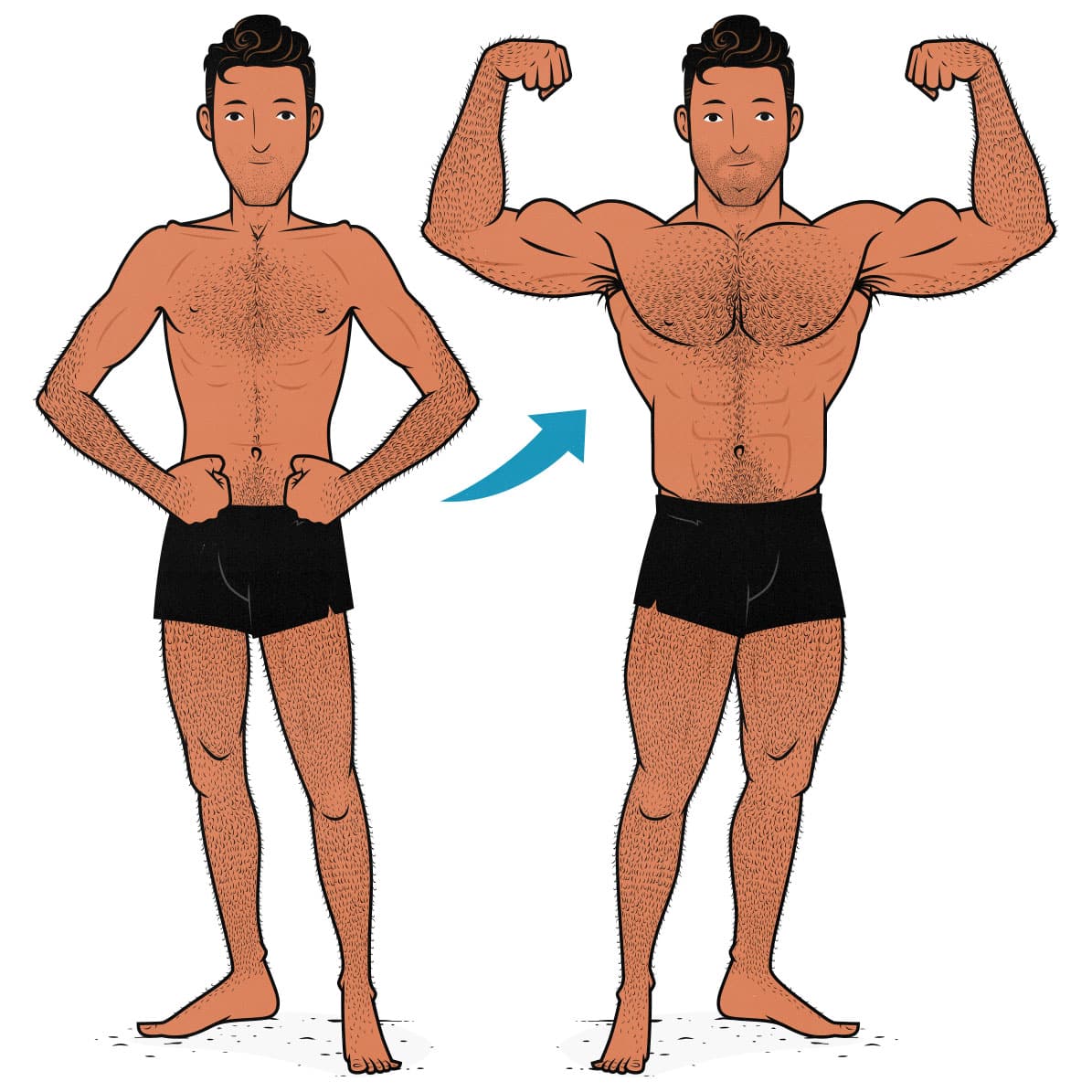 Muscle mass percentage: Benefits and how to calculate it