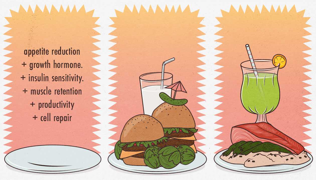 Illustration showing the benefits of intermittent fasting for muscle gain.