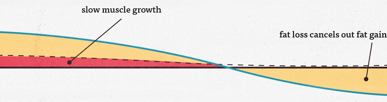 Illustration showing how calorie cycling might be able to help us making leaner gains while bulking.