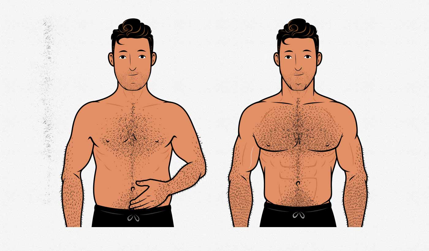 Illustration showing the results of using intermittent fasting to prevent fat gain while bulking.