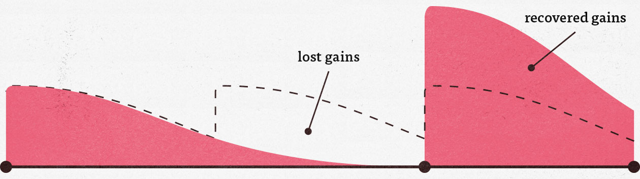 Graph showing that intermittent fasting slows down muscle growth.