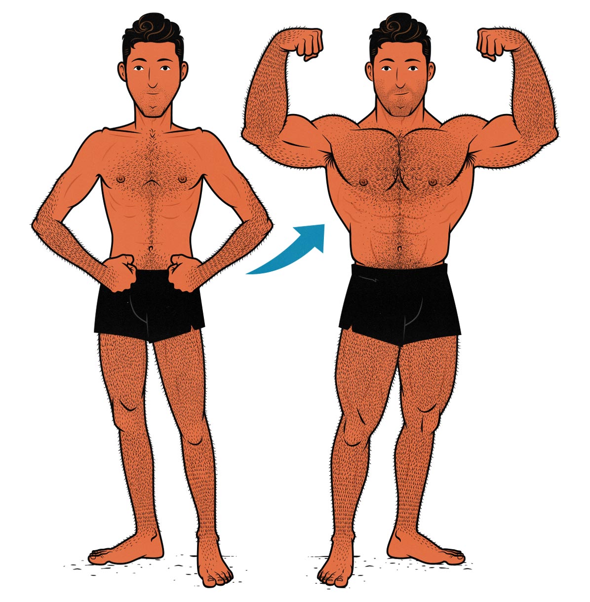 Before and after illustration of a skinny guy becoming muscular.