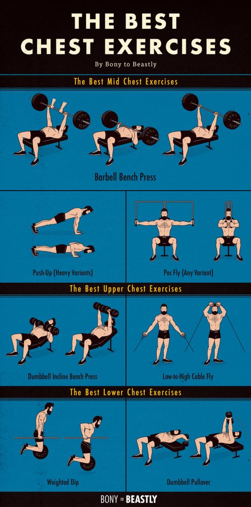 The Best Chest Exercises Chart — Bony to Beastly