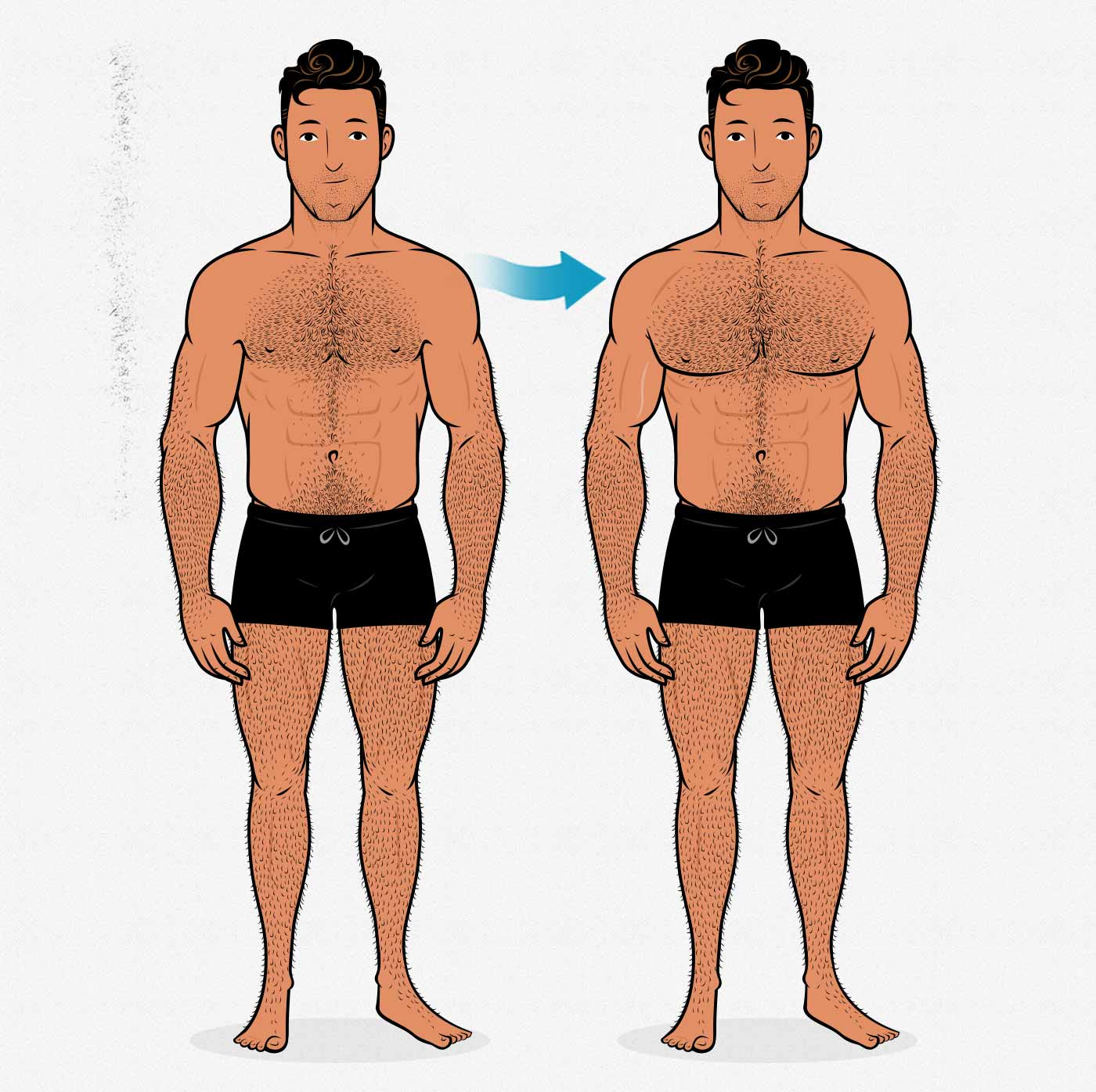 Illustration of a man building a bigger chest.