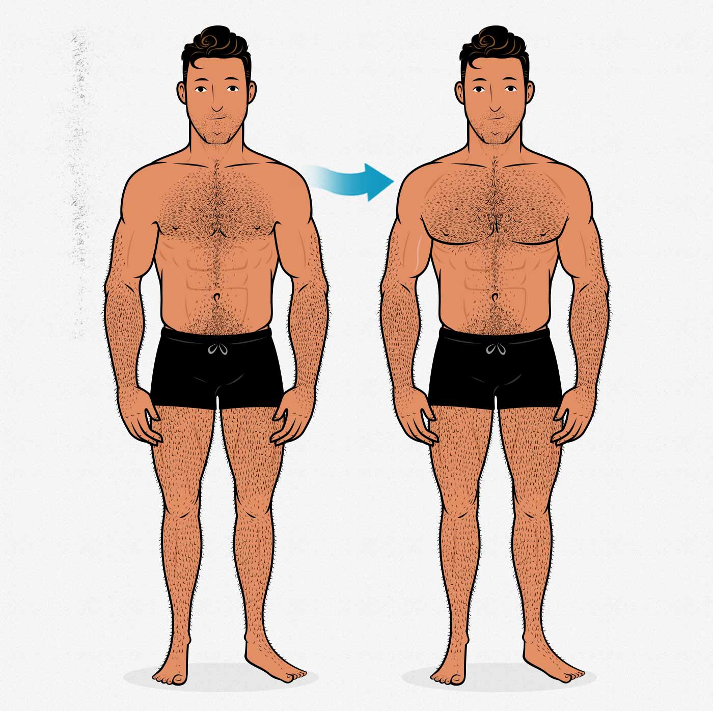 How to Get Bigger Pecs: Targeting the Three Divisions of the Chest